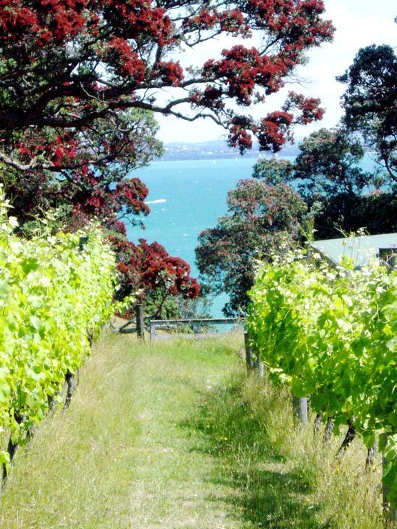 Waiheke Island Vineyard Holiday Houses Surfdale Esterno foto